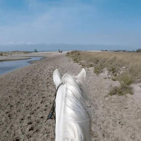 "Le Nature" Camargue Jardin آرْلْ المظهر الخارجي الصورة